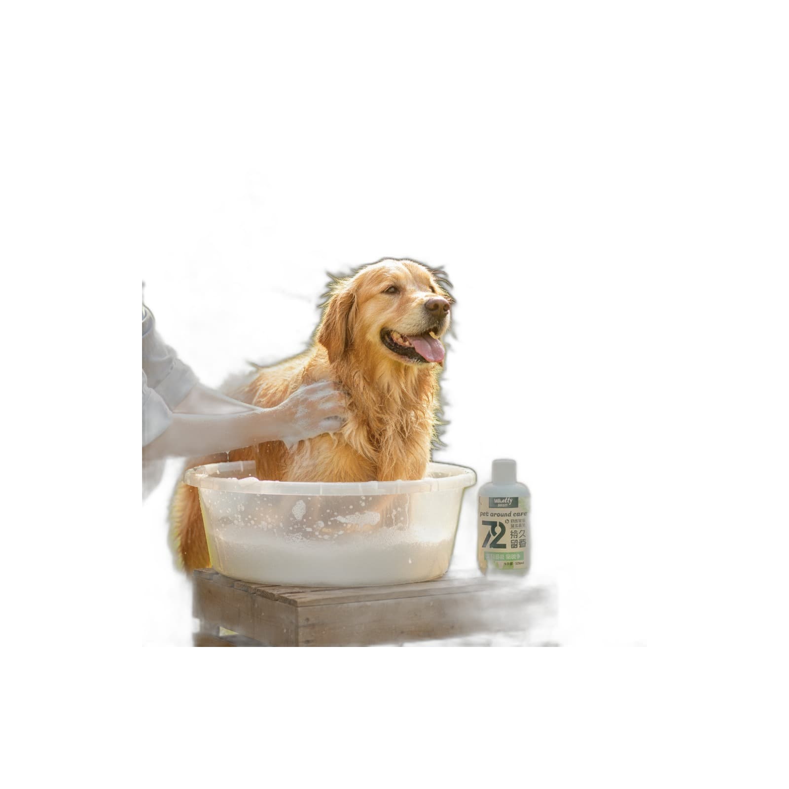 Hundeshampoo mit Pflanzenextrakt – 500ml