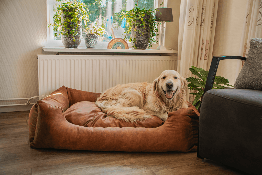 Let's Sleep Sweet Dreams Hundekorb Mit Kissen XL Taupe 2