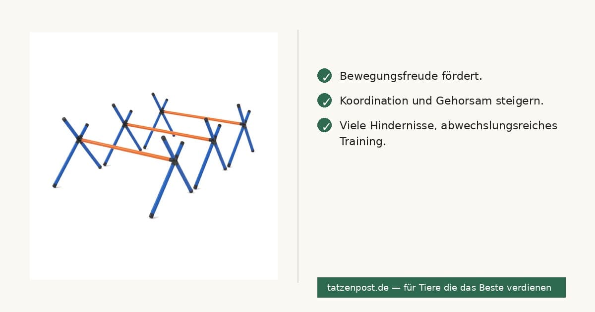 Agility-Set für Hunde – 4-teilig, für den Garten 6