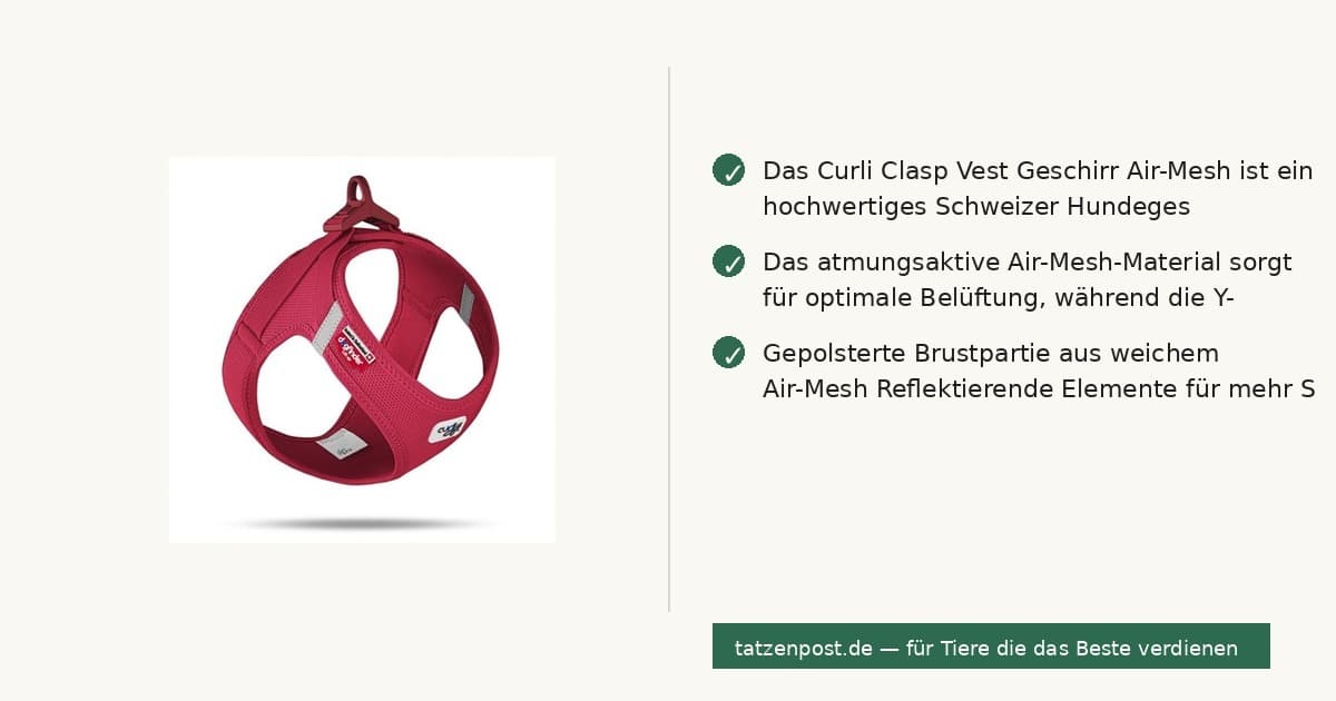 Curli Clasp Vest Hundgeschirr Air-Mesh – schwarz 2