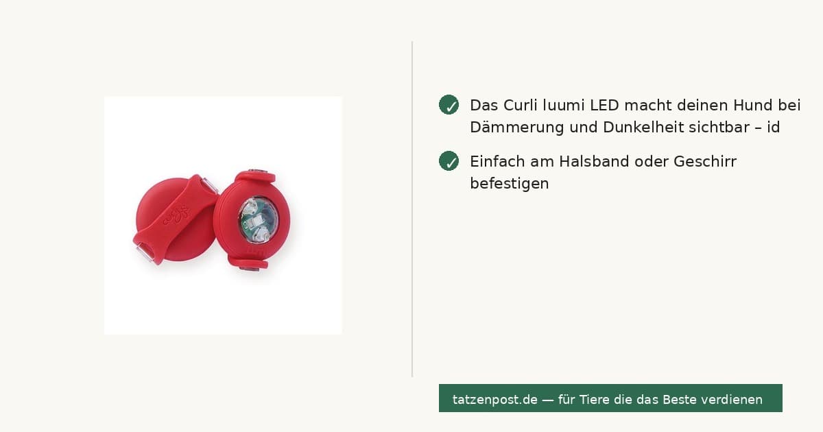 Curli luumi LED Rot – Sicherheits-LED für Hunde 2