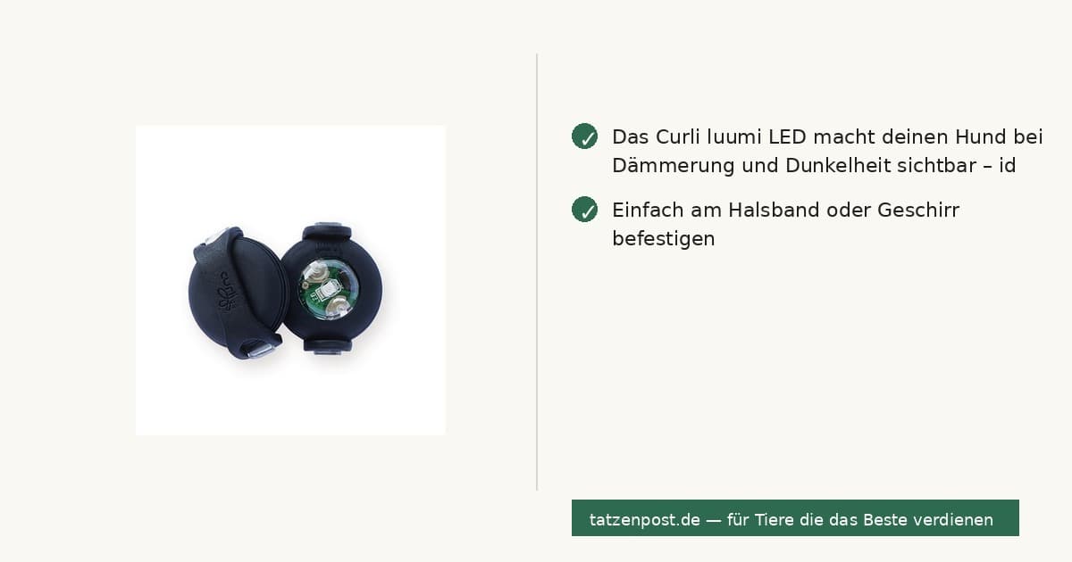 Curli luumi LED Schwarz – Sicherheits-LED für Hunde 2