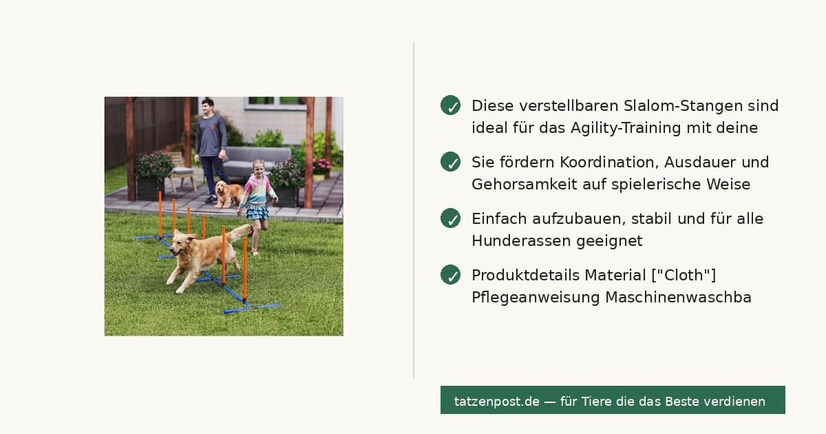 Hunde Agility Training – verstellbare Slalom-Stangen 6
