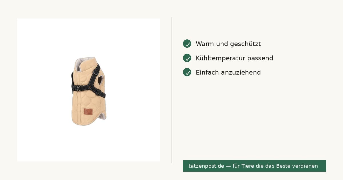 Hundemantel mit Brust- und Rückenschutz – Baumwolle 6