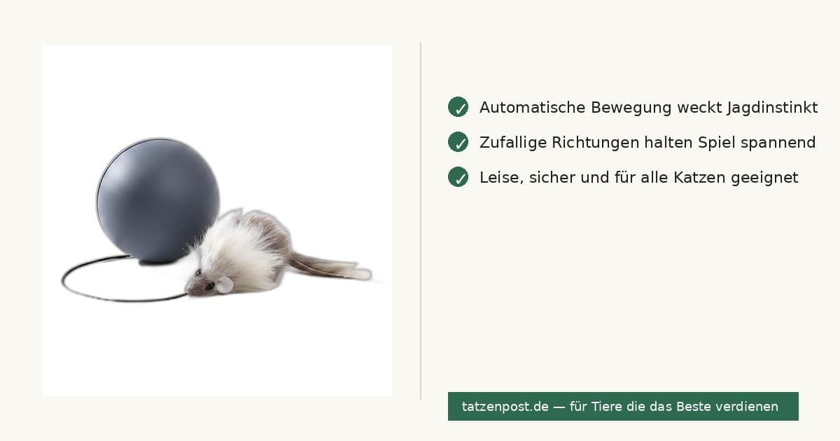 Katzenspielzeug: Beweglicher Mäuseball – interaktiv & lustig 6