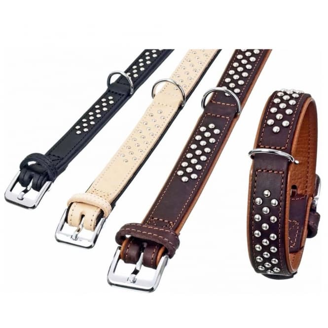 Karlie Rondo Halsband unterlegt mit Rundkopfnieten - Schwarz - 30mm/52cm: Produktbild