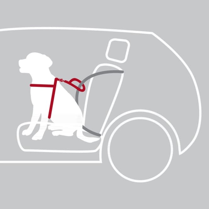 Trixie Auto-Sicherheitsgeschirr Dog Protect - L: 65-80 cm 3
