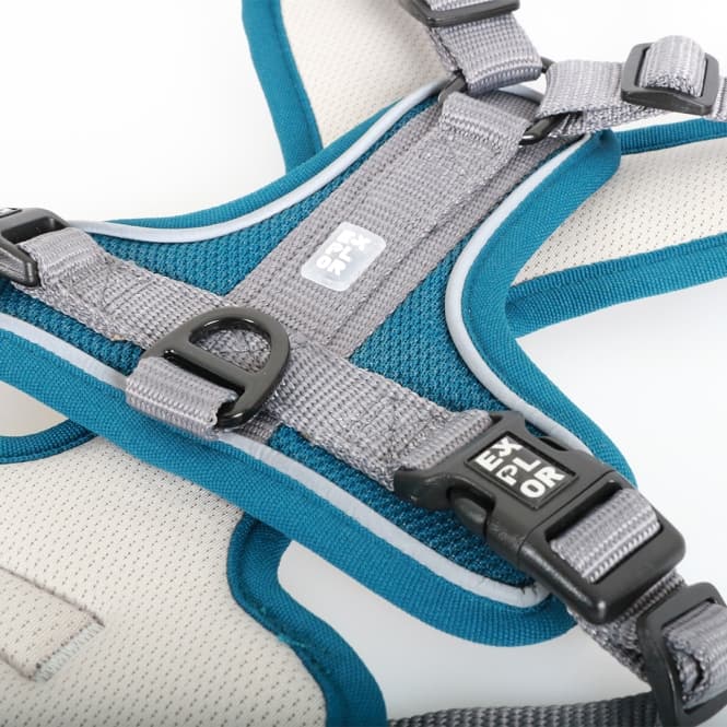 Duvoplus EXPLOR Ultimate Fit No-Pull-Geschirr - petrol blue - XS - 28-37cm - 32-43cm 3
