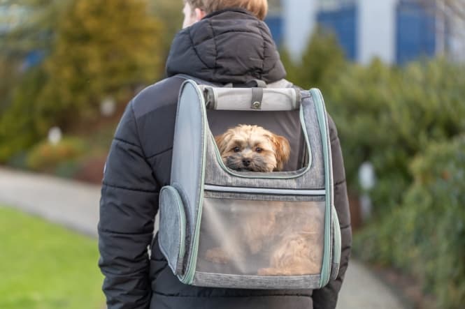 Trixie Rucksack Chloe - Hellgrau 6