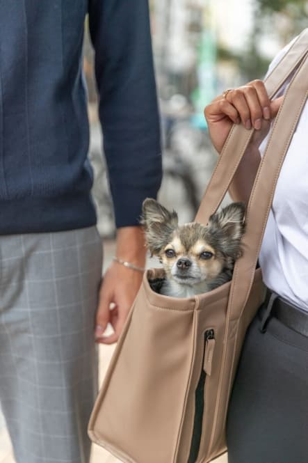 Trixie Tasche CityStyle 6