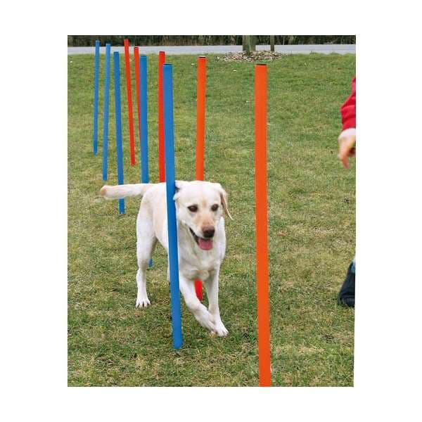 Trixie Agility Slalom 3
