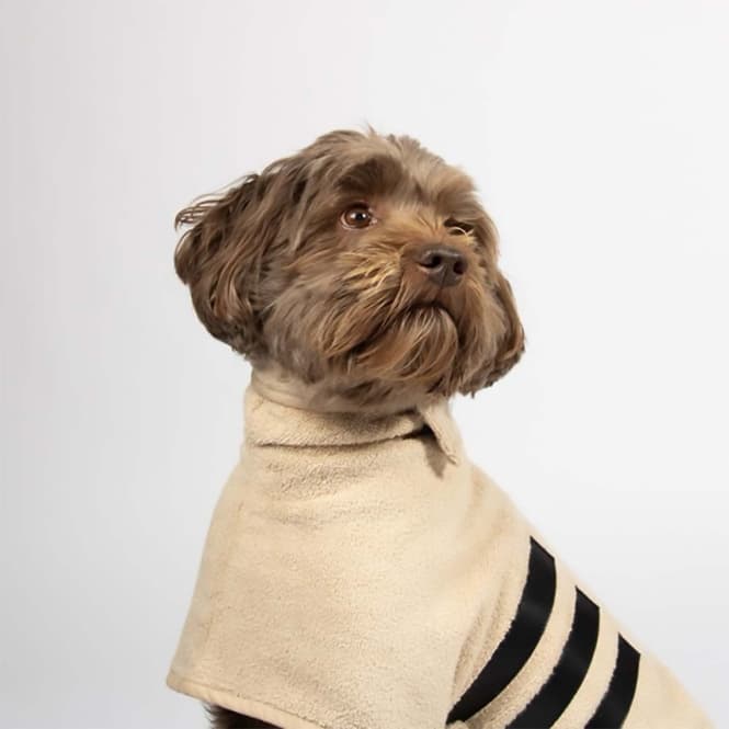 EBI Noir Japandi Hundebademantel – beige 4