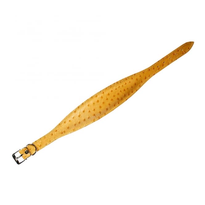 Karlie Windhund-Halsband Ventus - 55cm / Gelb: Produktbild