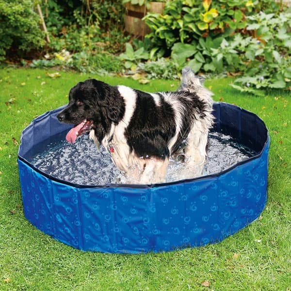 Karlie Flamingo DOGGY POOL Swimmingpool für Hunde - Blau gemustert 5