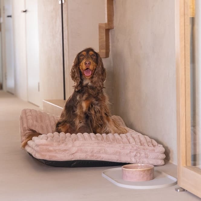 Designed by Lotte Hundekissen Reza - Rosa - 100 x 70 cm 2