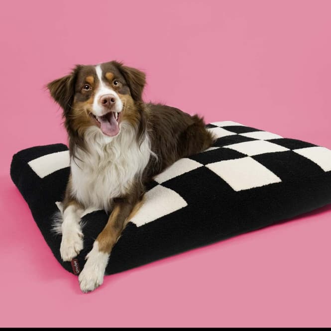 Coockoo Hundekissen Cozy Block - 120x80x12cm 2