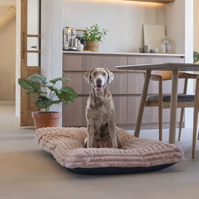 Designed by Lotte Hundekissen Reza - Rosa - 120 x 80 cm 2