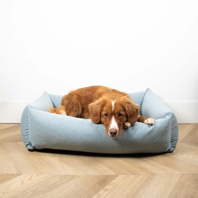 D&D Hundebett Eden - ocean - S - 70x60x20cm 4