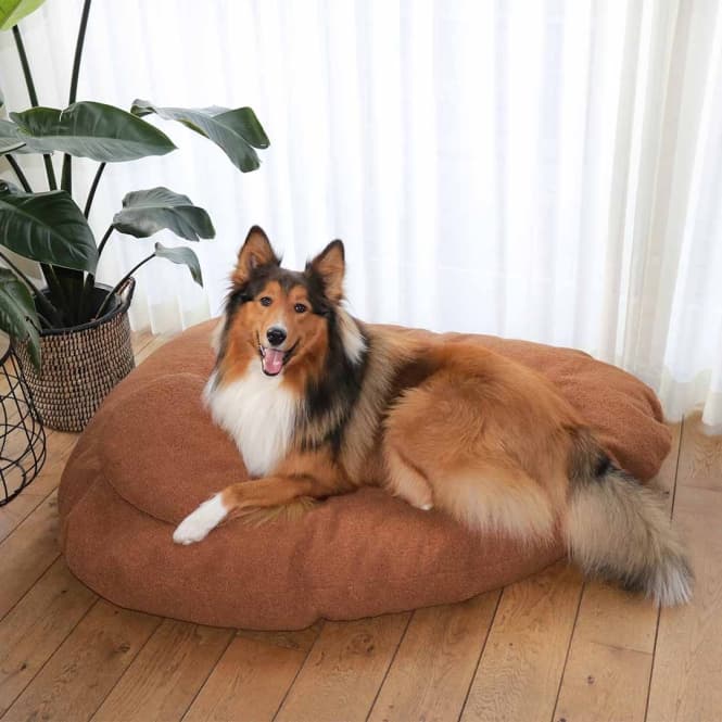 D&D Kissen Pebble - orange - 104x69x26cm 5