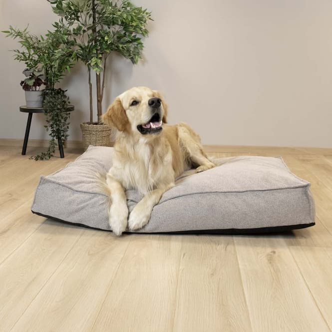 D&D Matratze Eden - taupe - 90x65x15cm 6