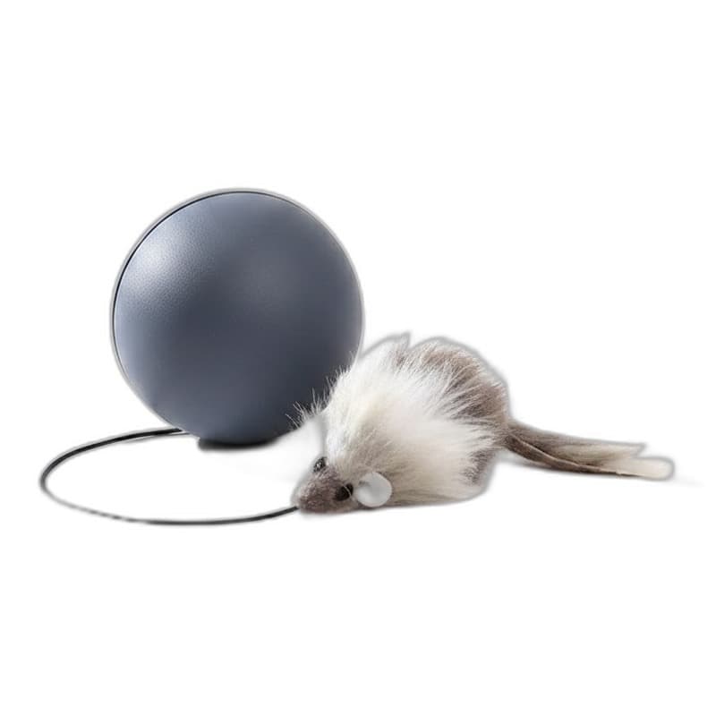 Katzenspielzeug: Beweglicher Mäuseball – interaktiv & lustig