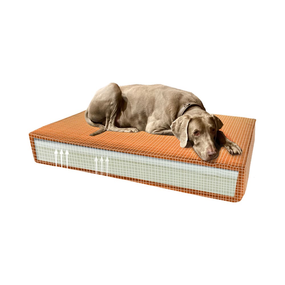 Madison Orthopädisches Kissen Velvet Orange S