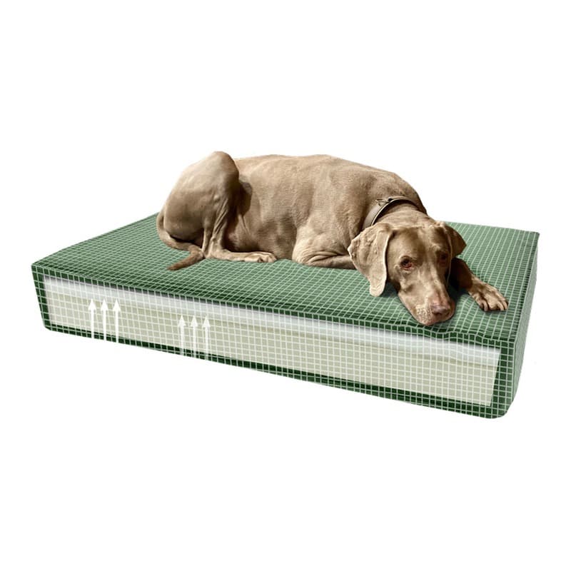 Madison Orthopädisches Kissen Velvet Grün S